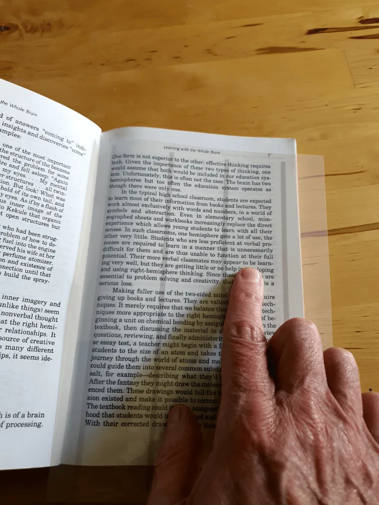 Structured Saccade Overlays demonstration